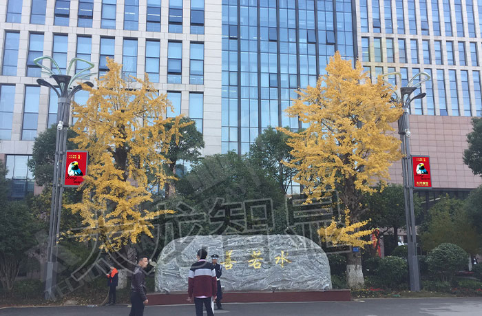 長(zhǎng)沙LED燈桿屏與智慧路燈安裝現(xiàn)場(chǎng).jpg